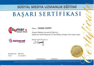 E ticaret uzmanı